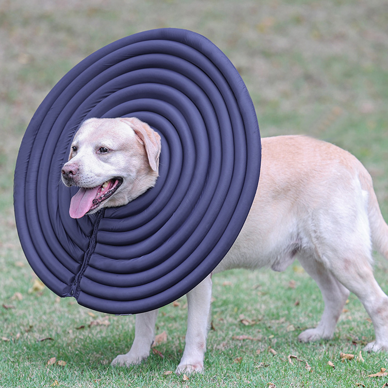 Pet Protection Ring 4