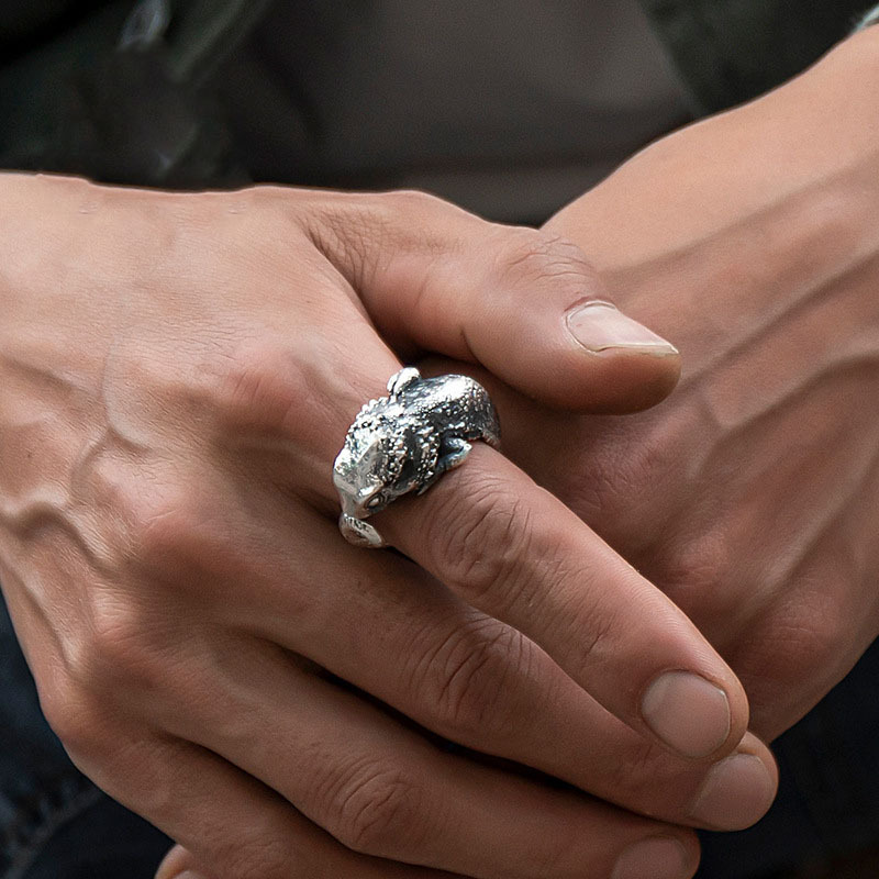 Anillo Abierto de Lagarto de Cuatro Patas 5