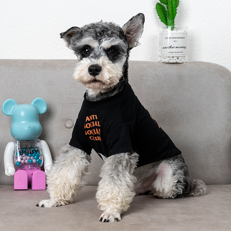 Stylish Dog Clothes