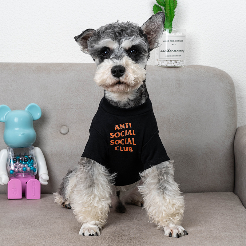 Comfortable Dog Outfits