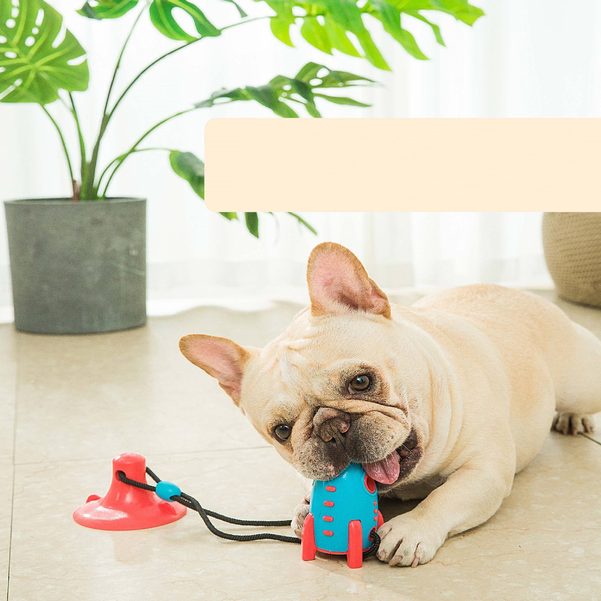 Rocket Dog Toy 5