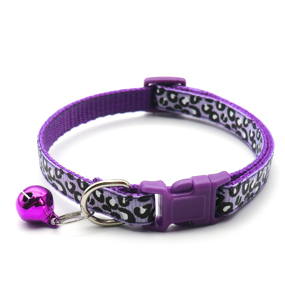 Close-up of collar on a cat