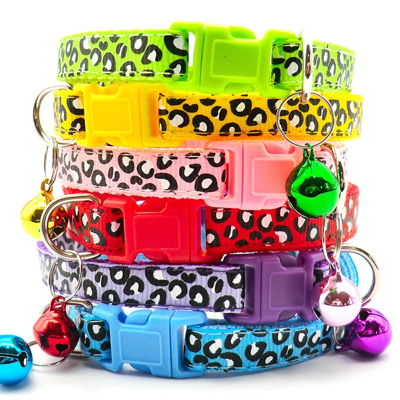 Cat wearing a fluorescent green collar