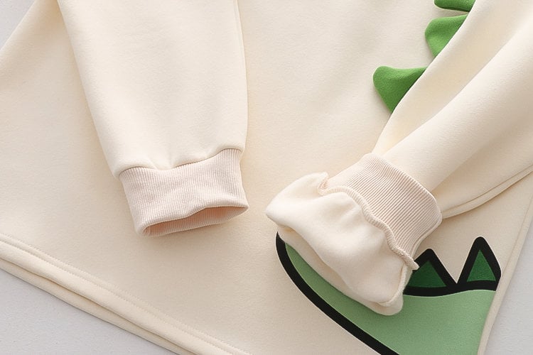 Fleece-lined Pullover Sweatshirt 14