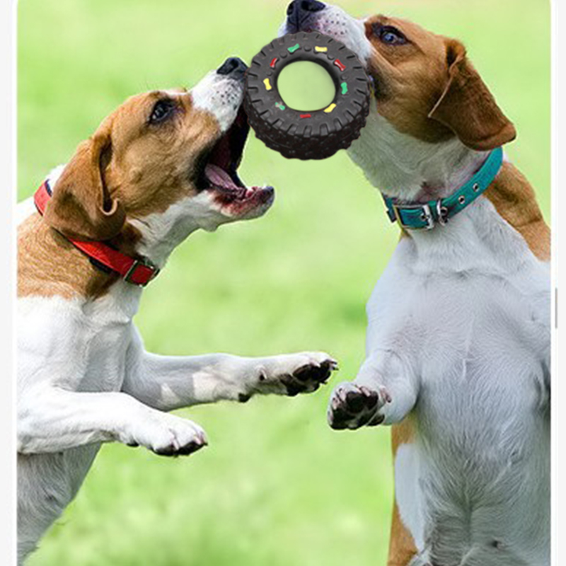 Playing Dog with Toy