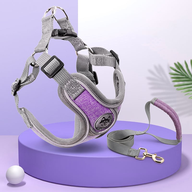 Dog Leash Vest - Image 8