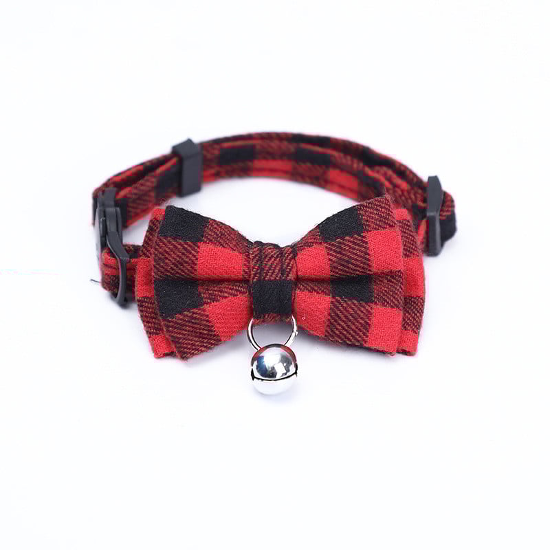 Pet Fashion