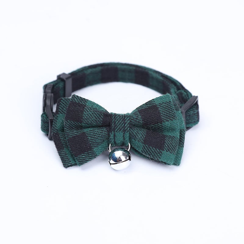 Close Up of Collar