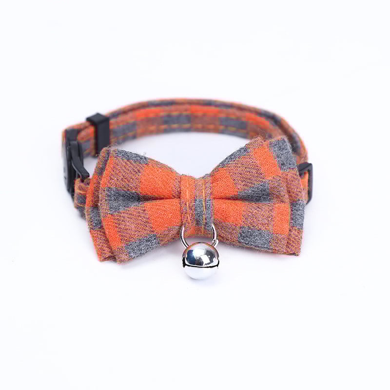 Pet Wearing Collar