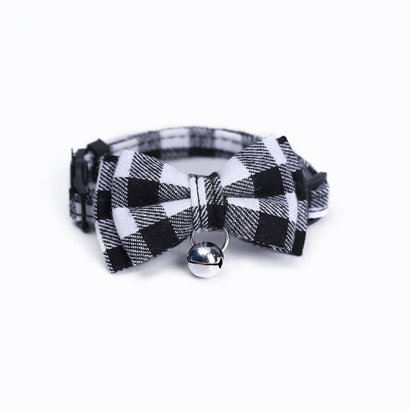 Pet Collar in Action