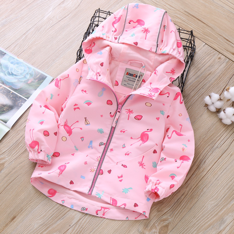 Pink Flamingo Jacket