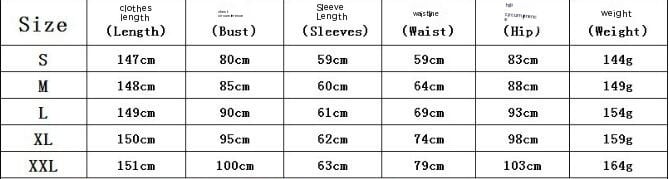 Sheer Long Sleeve Women's Dress 1