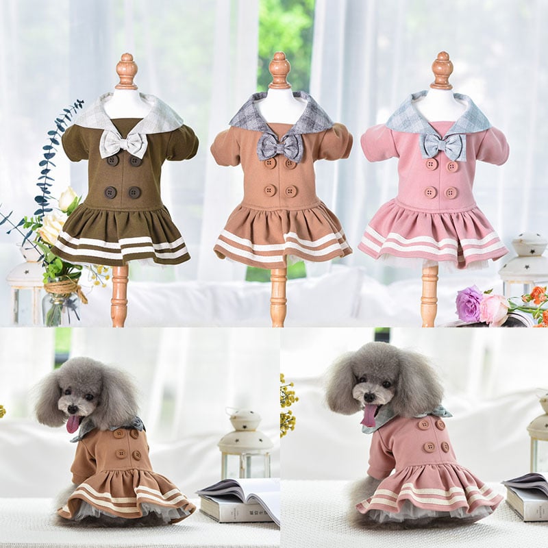 Pet in Dress