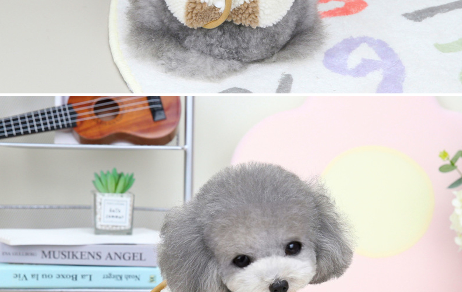 Cozy Pet in Vest