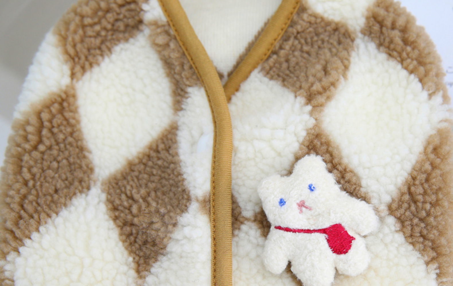 Pet in Winter Outfit