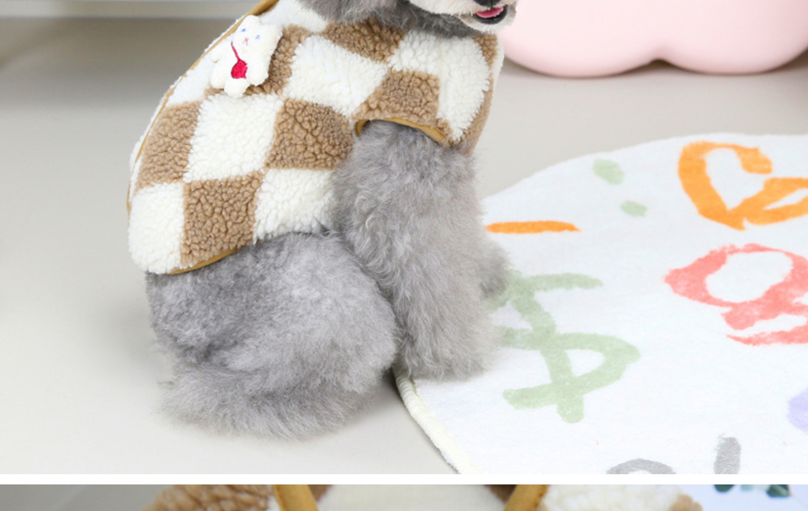 Happy Pet Wearing Vest