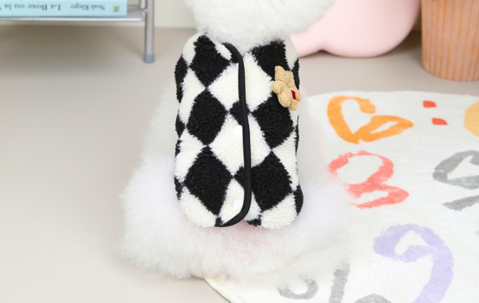 Back View of Vest