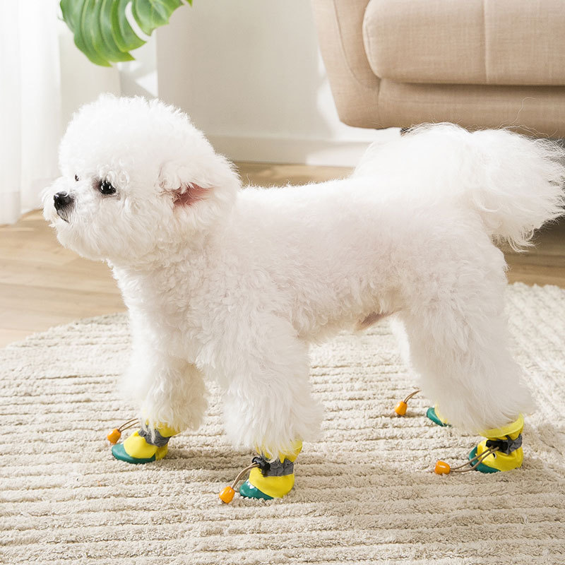 Adorable Puppy Shoes
