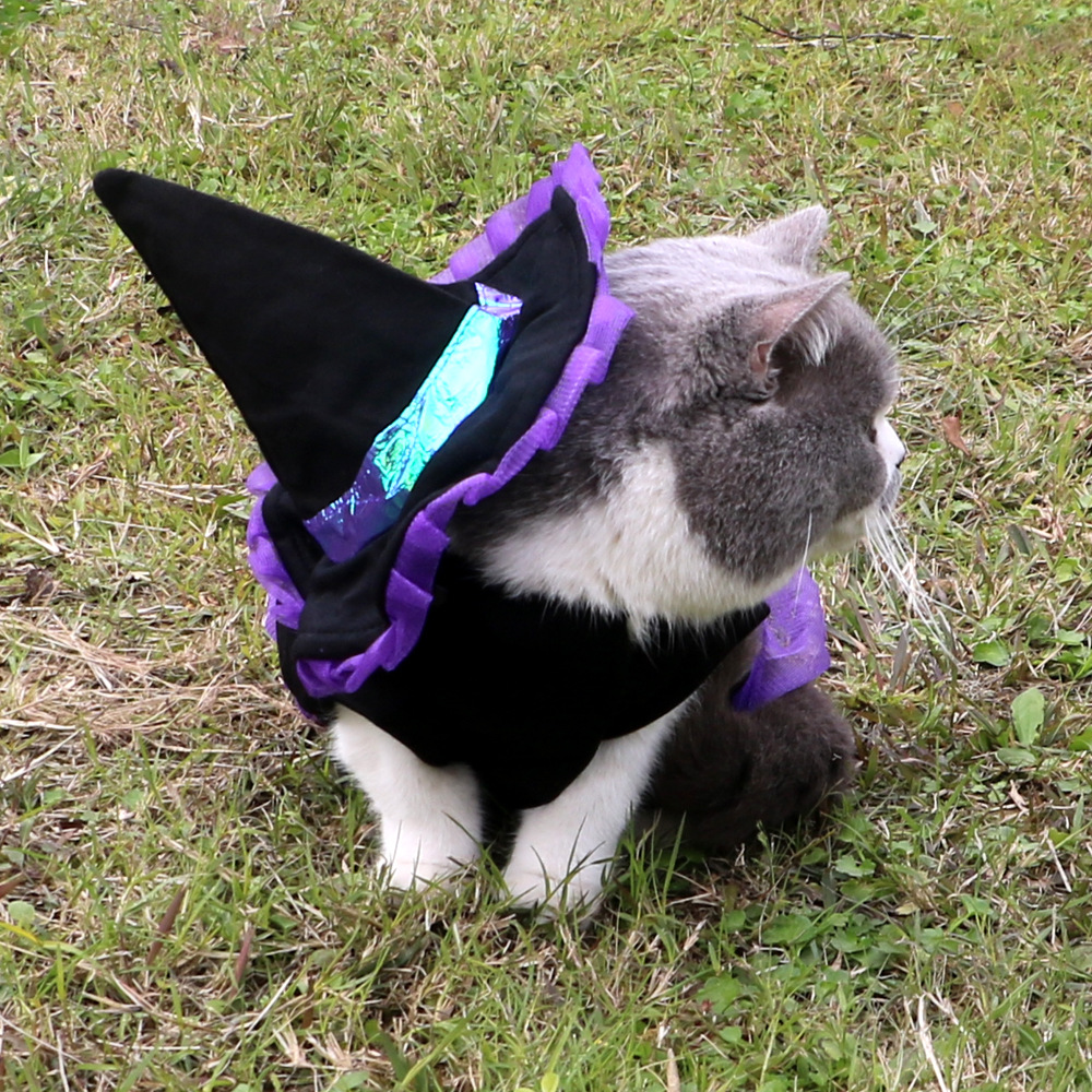 Wizard Dog Clothes