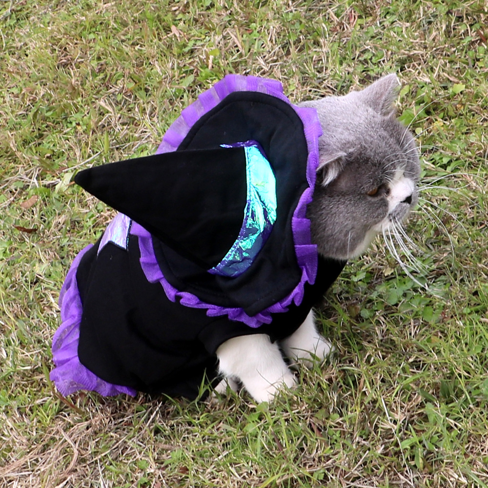 Pet Halloween Costumes