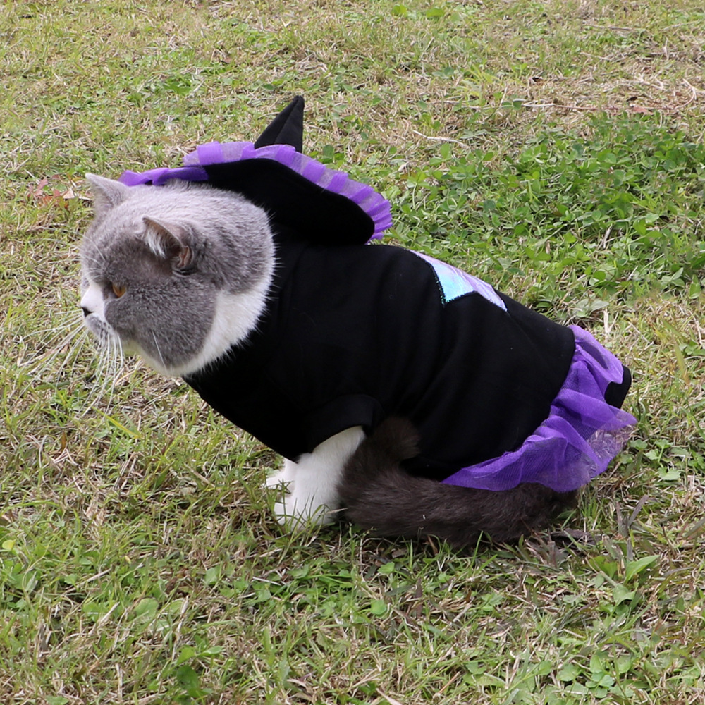Purple Dog Outfit