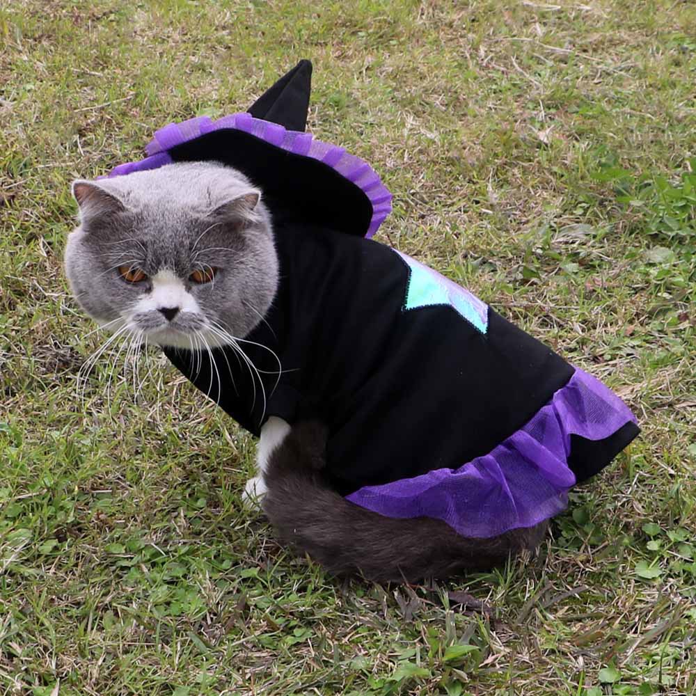 Christmas Wizard Dog Clothes