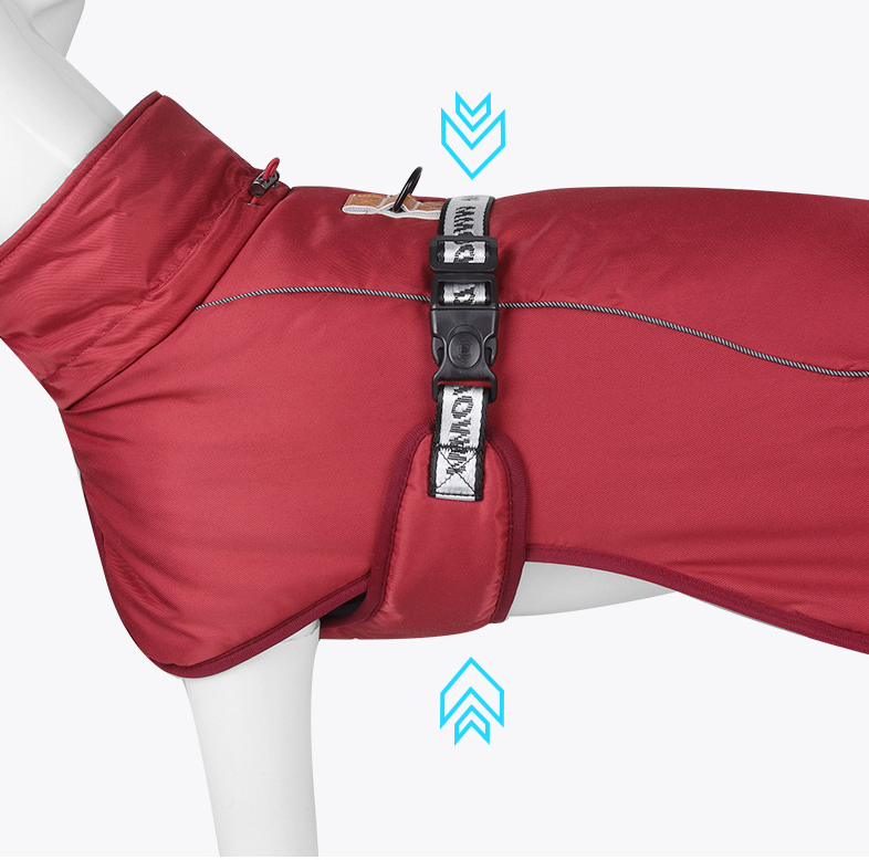 Cloak in Different Angles