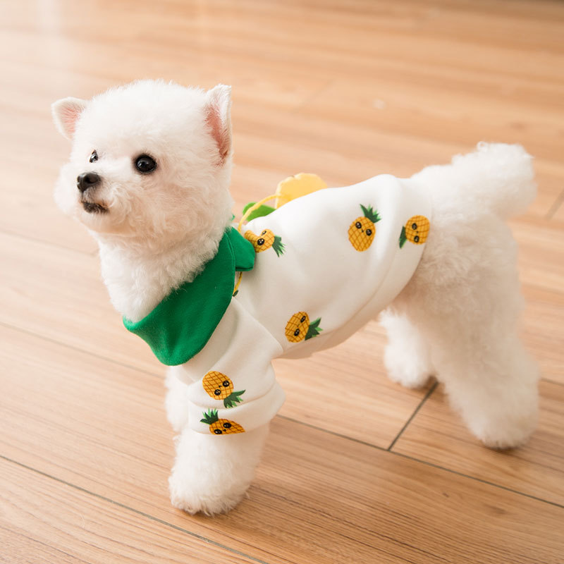 Pineapple Backpack Dog Sweater 2