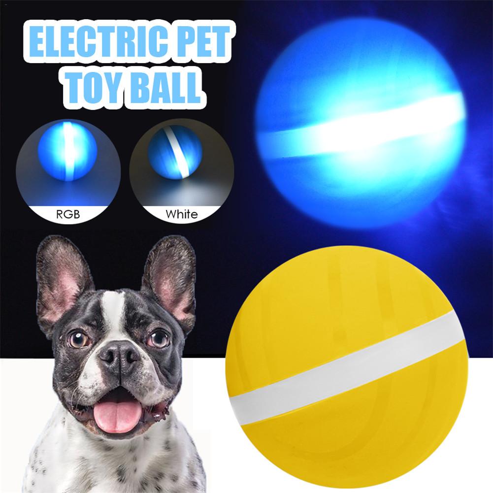 Smart Pet Toy Ball Image 6