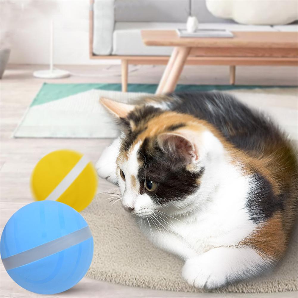 Smart Pet Toy Ball Image 9