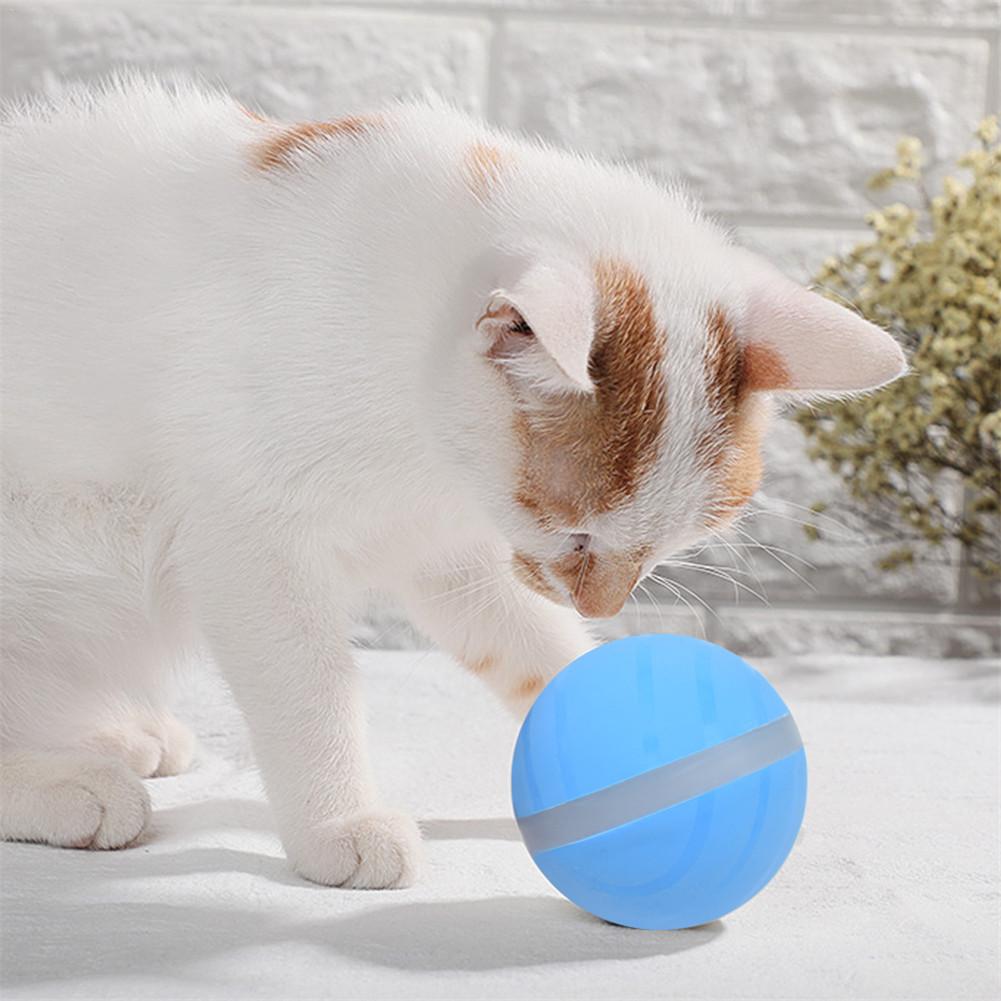 Smart Pet Toy Ball Image 11