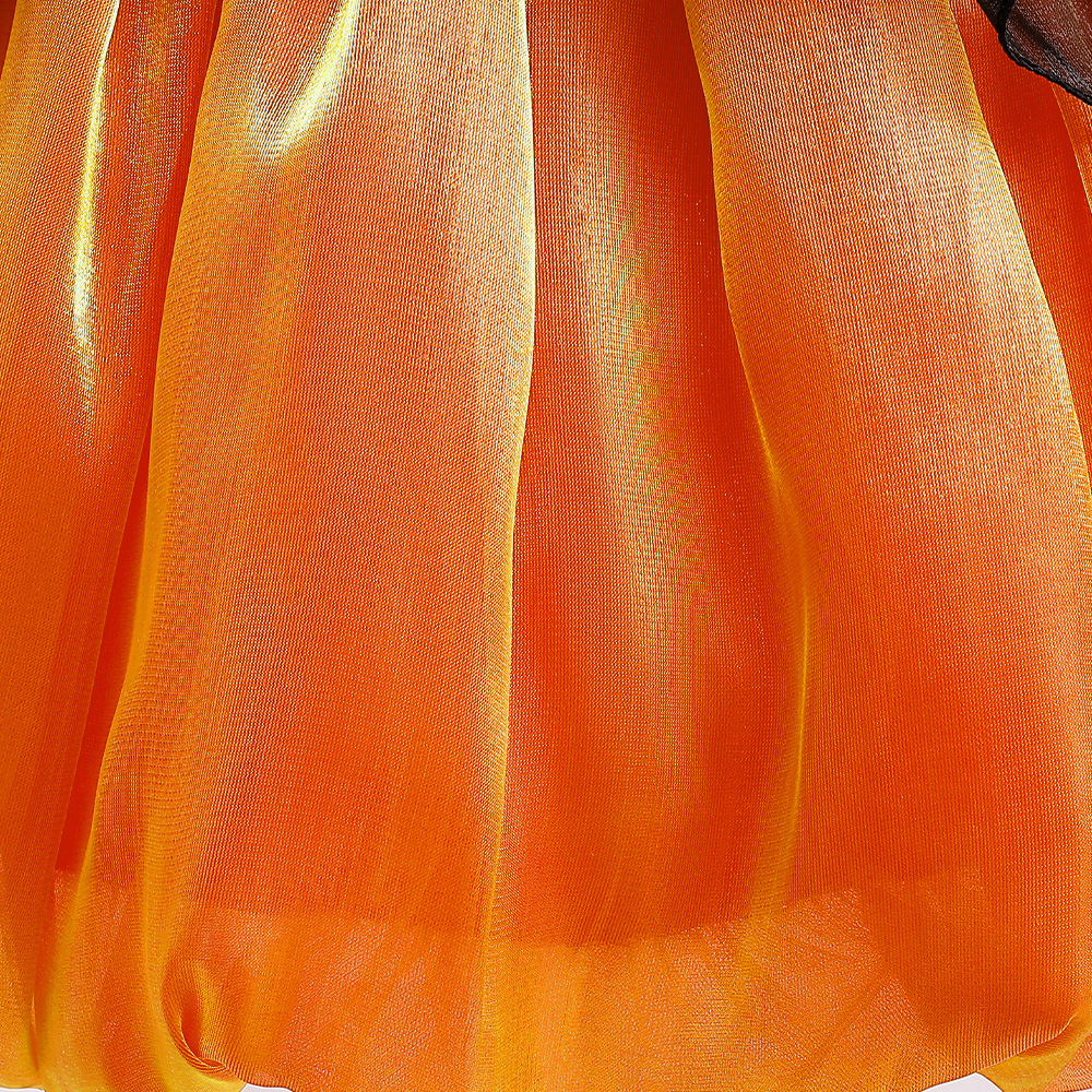 Costume Detail 9