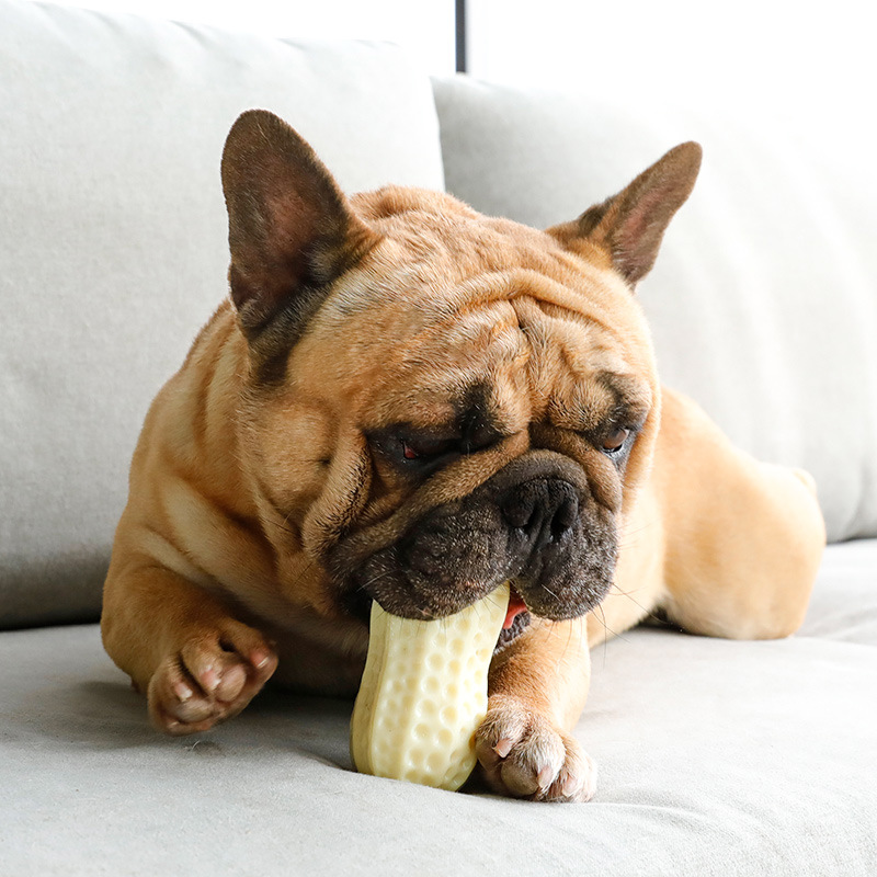 Dog Simulation Peanut Toy 4