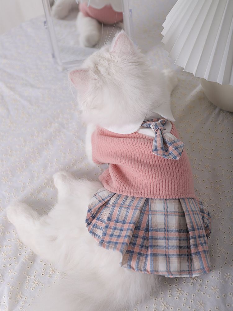 Dress Pet Teddy Corgi Fighting Bichon Snow - Image 1