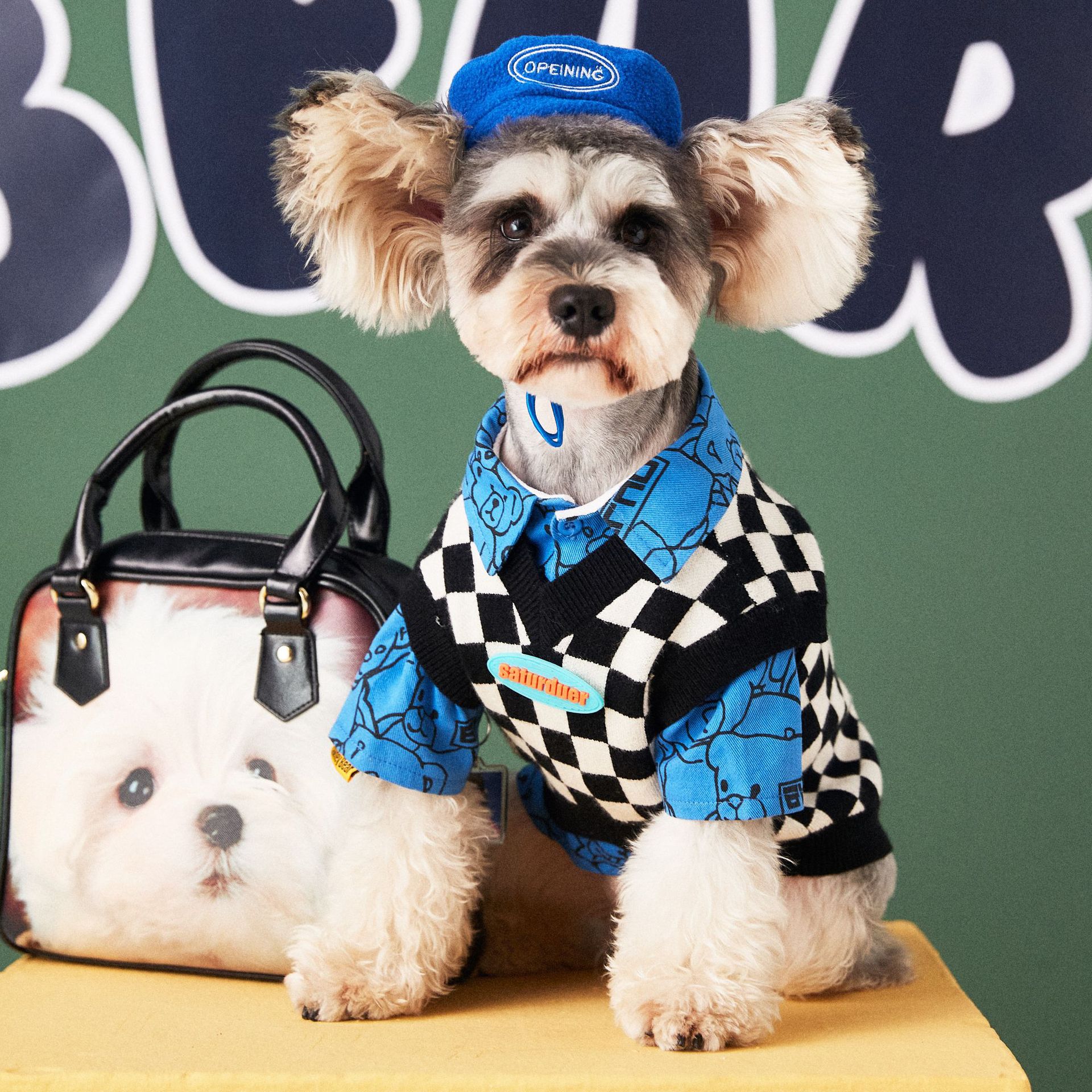 Fashionable Pet Hat