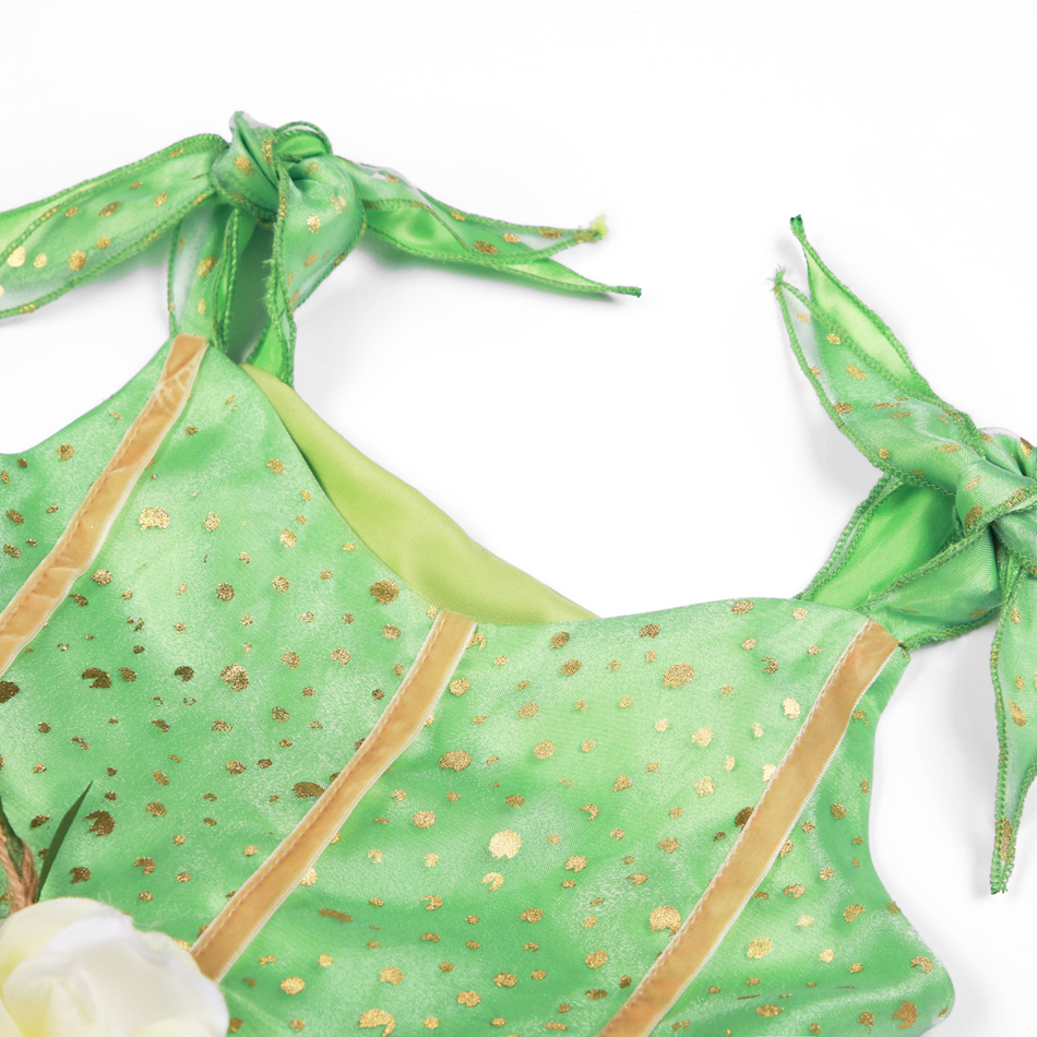 Fairy Costume Front