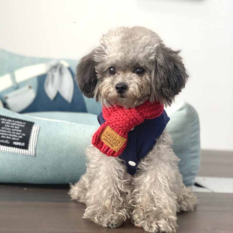 Winter Dog Collar Bandana in Blue