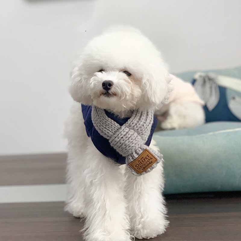 Winter Dog Collar Bandana in Pink