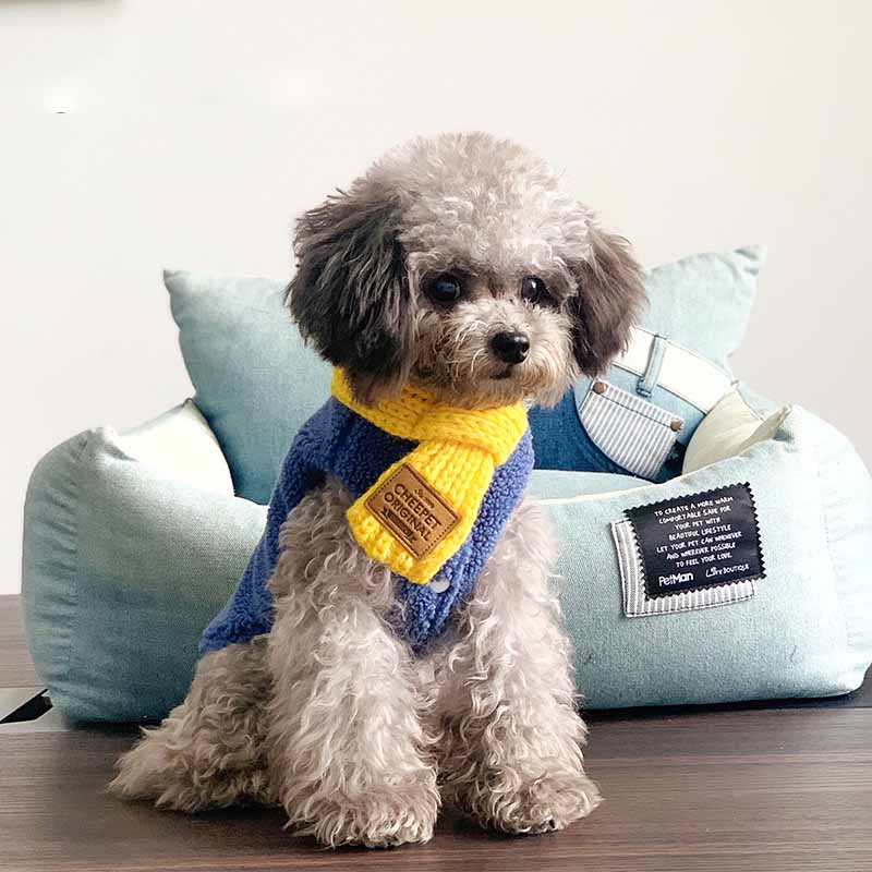 Winter Dog Collar Bandana on a Dog