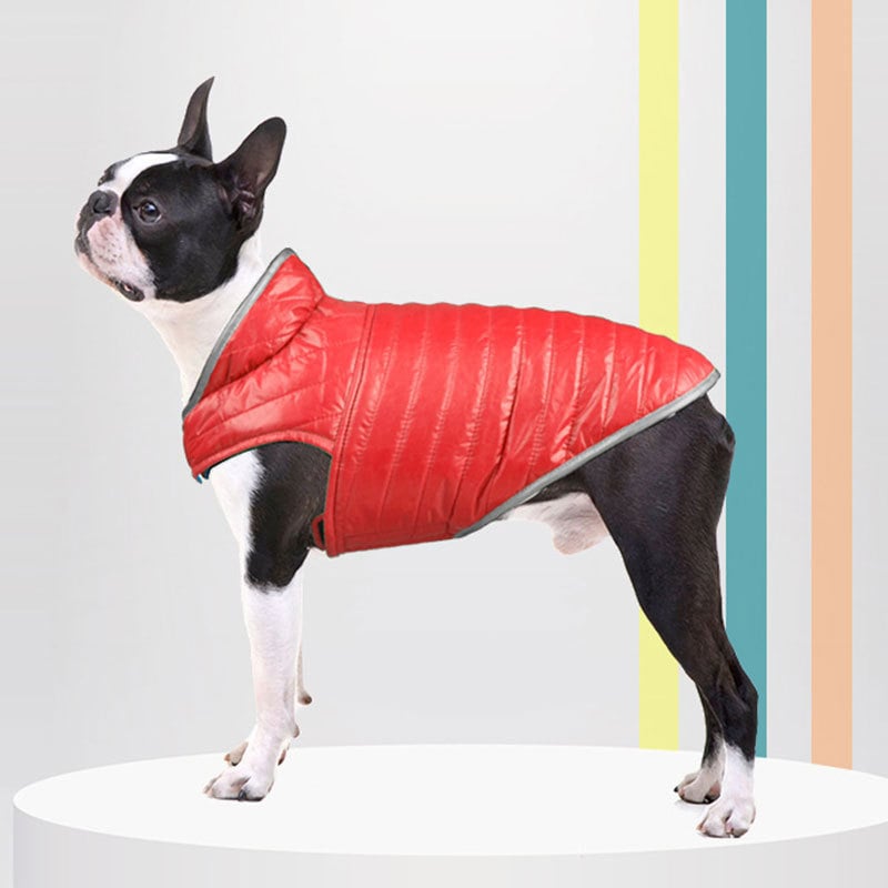 Dog Coat Image 3