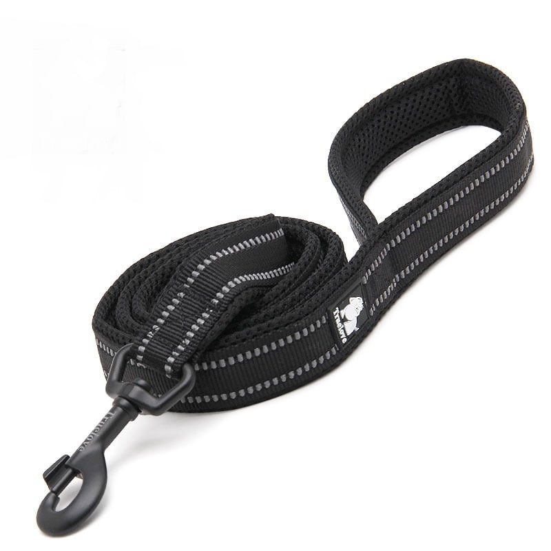 Pet Dog Leash Image 3