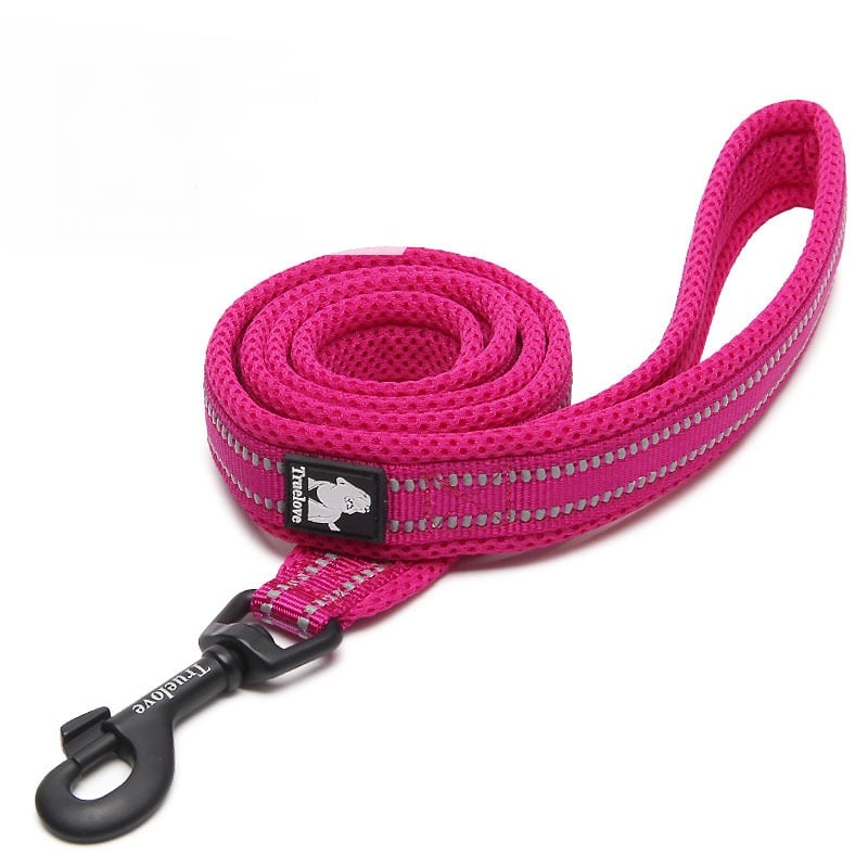 Pet Dog Leash Image 5
