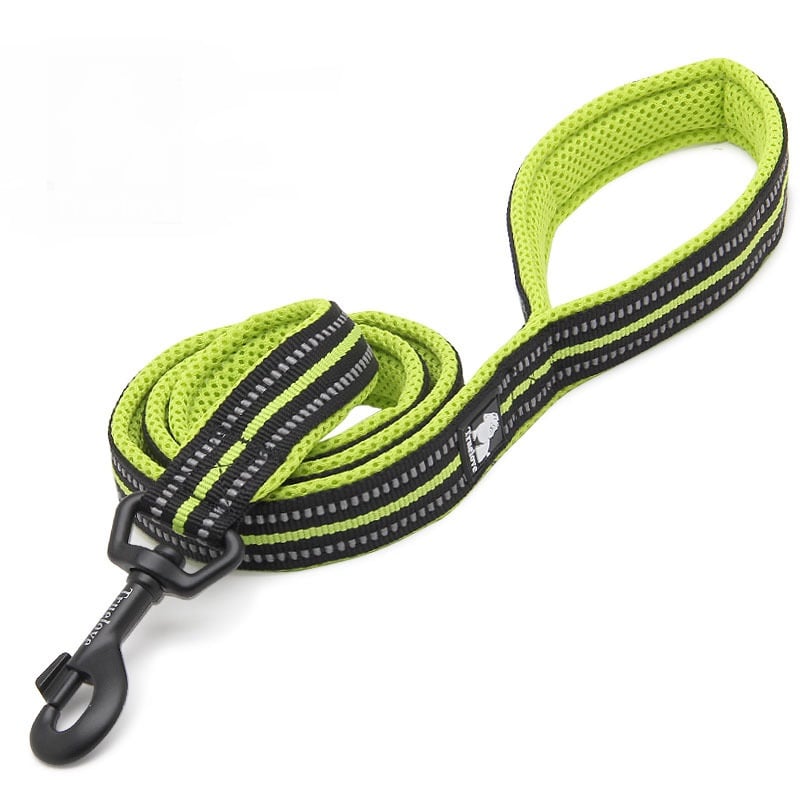 Pet Dog Leash Image 2