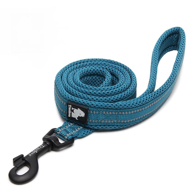 Pet Dog Leash Image 4