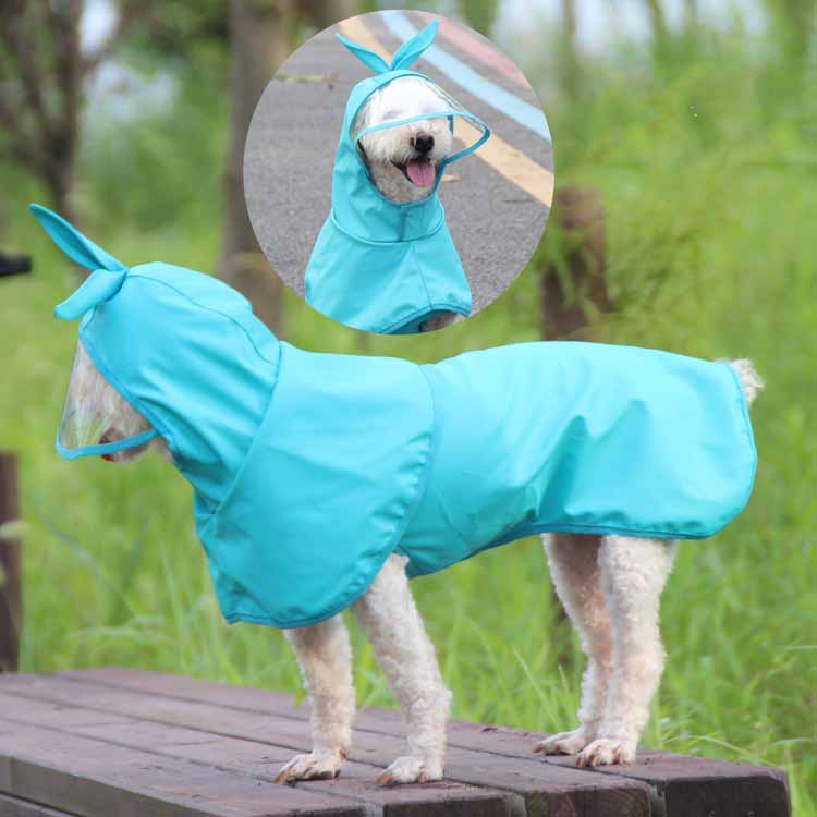 Pet in stylish raincoat
