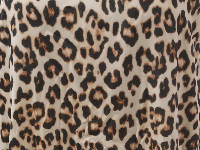 Leopard Strap Dress Image 2