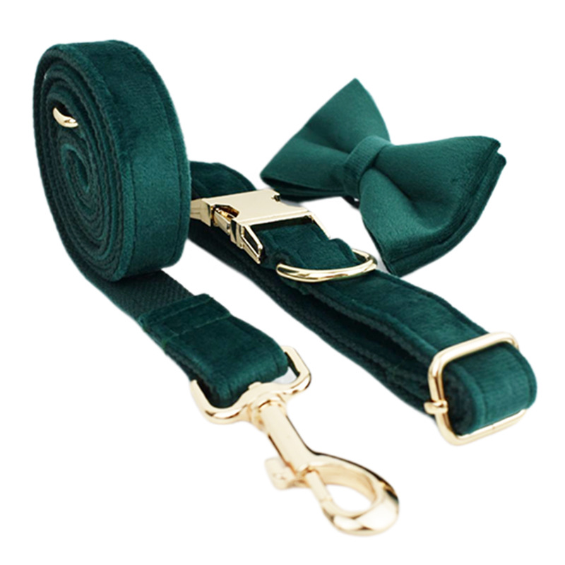 Dog Collar and Rope