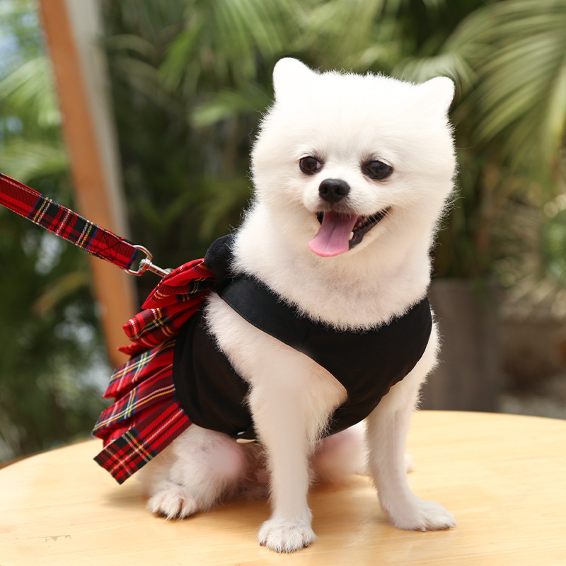 Dog Skirt - Image 9