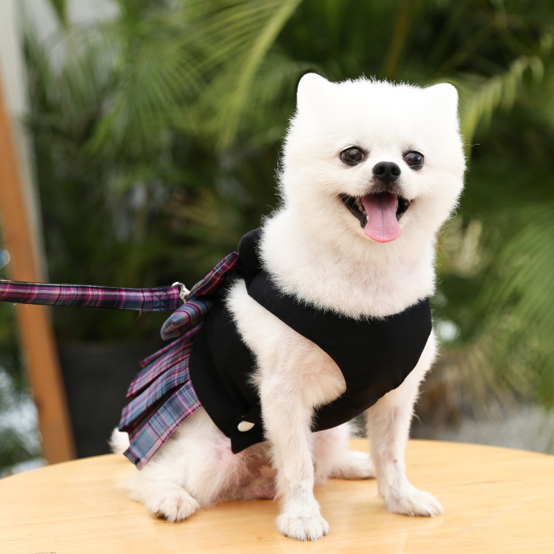 Dog Skirt - Image 4
