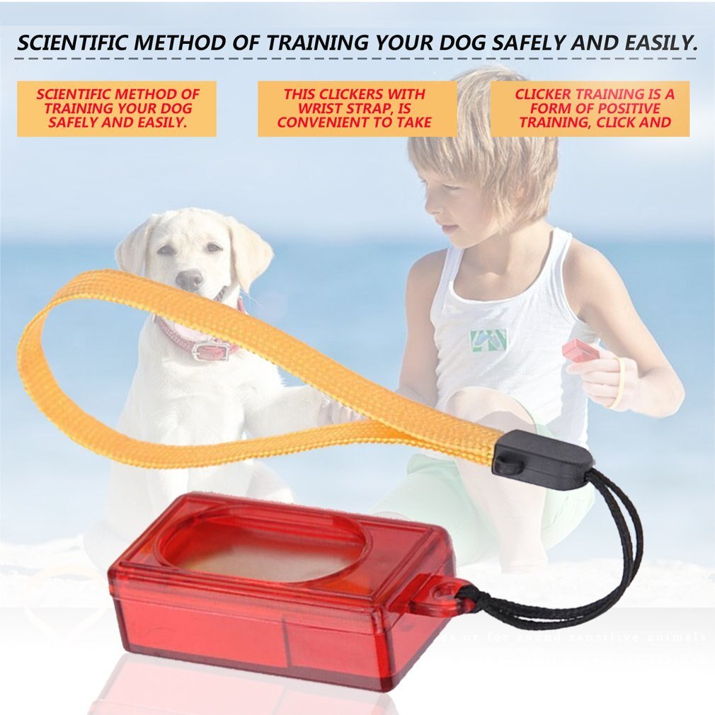 Square Trainer Pet Clicker Image 2